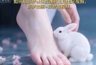 如何用即梦ai生成爆款玉足美足视频，即梦出图+即梦出视频，快速涨粉