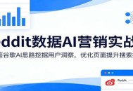 Reddit数据AI营销实战课：借鉴谷歌AI思路挖掘用户洞察，优化页面提升搜索排名