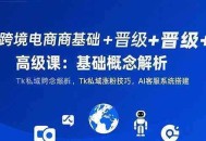 跨境电商基础+晋级+高级课：基础概念解析,Tk私域涨粉技巧,AI客服系统搭建