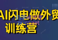 大卫·AI闪电做外贸训练营(更新6月)