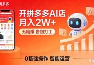 开一家拼多多AI店，月入2W+，无脑赚，告别打工，附SOP手册