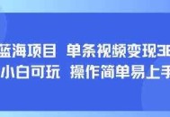8月AI蓝海项目，单条视频变现1k+ 小白可玩 操作简单易上手