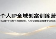 个人IP全域创富训练营：吃透抖音视频号流量规则，AI全链路赋能直播带货变现