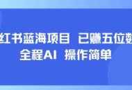 小红书蓝海项目，全程AI，操作简单，已挣五位数