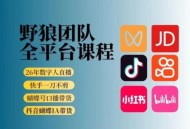 野狼团队2026新版全平台短视频带货教学，打开流量突破口，开始Ai带货(更新26年4月25日)