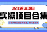 2025年实操六大项目实操演练，挂机类型，AI直播类型，轻资产创业类型，