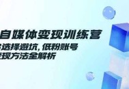 AI自媒体变现训练营，平台选择避坑，低粉账号高变现方法全解析