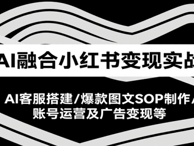 AI融合小红书变现实战课，AI客服搭建/爆款图文SOP制作/账号运营及广告变现等