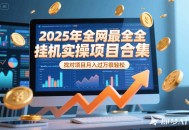 2025年挂机实操项目实操演练，挂机类型，AI直播类型，轻资产创业类型
