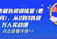 AI闪电做外贸训练营(更新25年2月)，从0到3外贸万人实战课