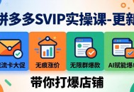 拼多多SVIP实操课-26年4月，截流卡大促+无痕涨价+无限群爆款+AI赋能爆单新玩法，带你打爆店铺