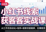 小红书线索获客实战课，AI工作流自动化+矩阵+搜索流量霸屏，拉爆客资
