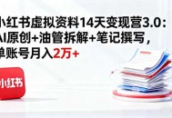 小红书虚拟资料14天变现营3.0：AI原创+油管拆解+笔记撰写，单账号月入2万+